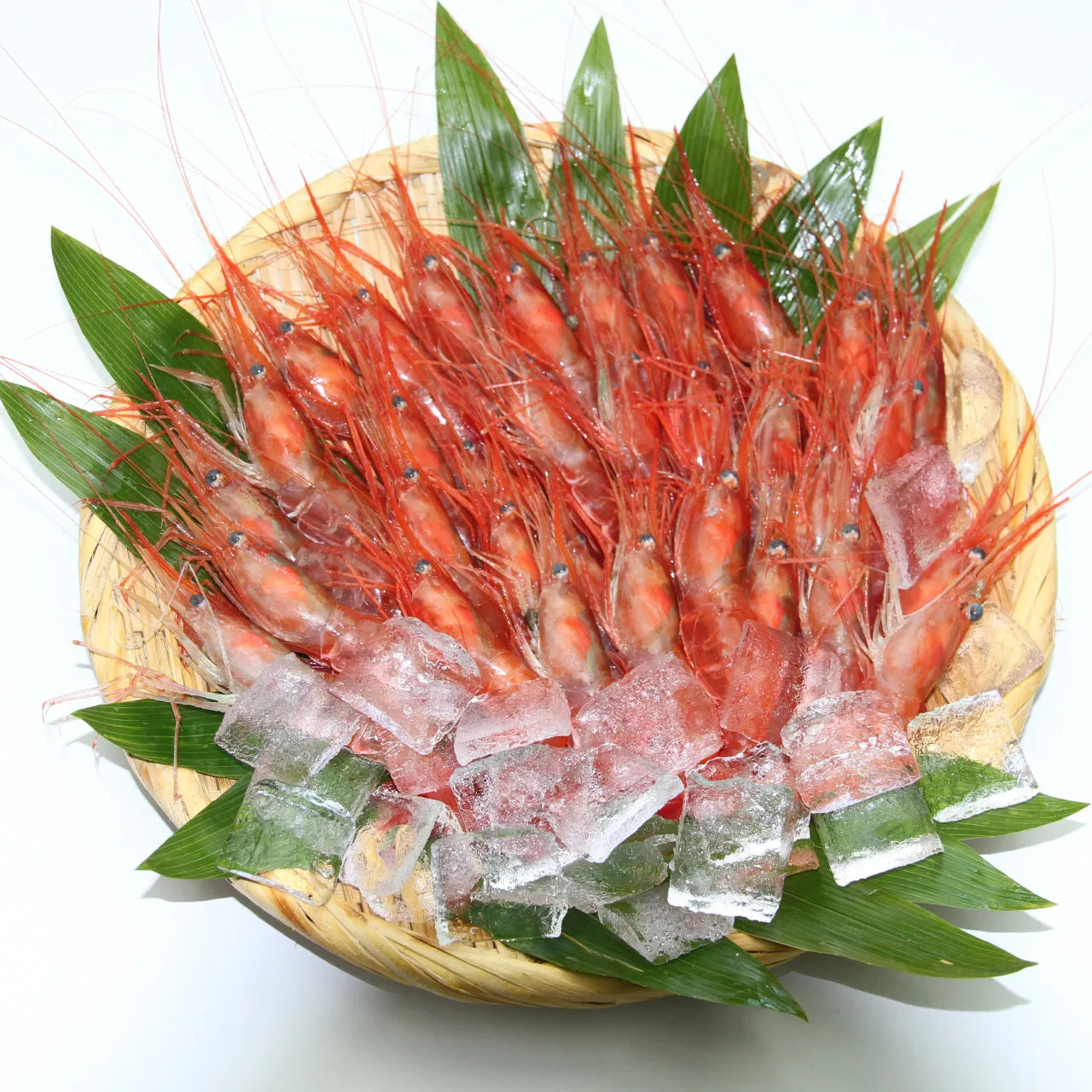 増毛産 甘海老